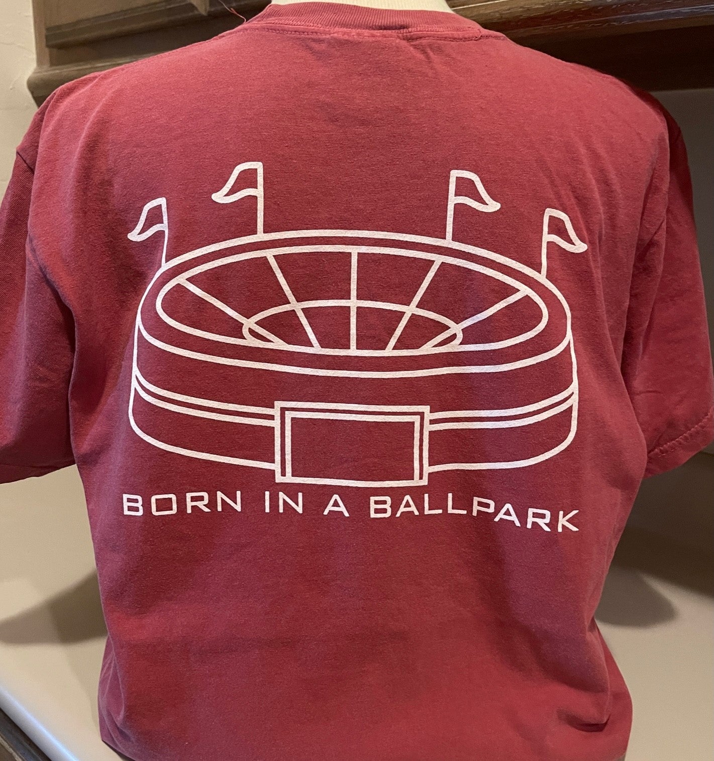 Born In A Ballpark